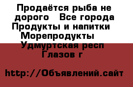 Продаётся рыба не дорого - Все города Продукты и напитки » Морепродукты   . Удмуртская респ.,Глазов г.